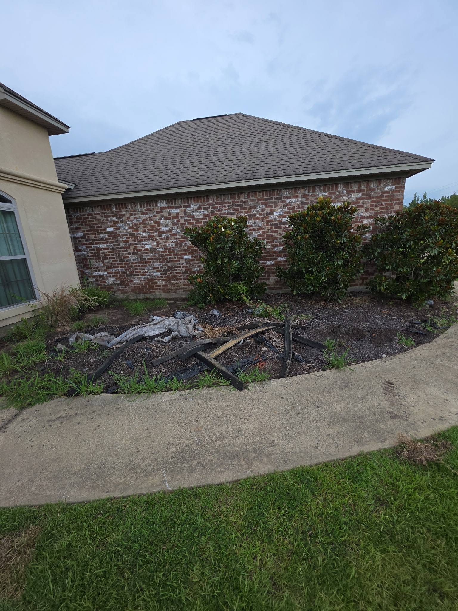 Landscape Clean-Out — After